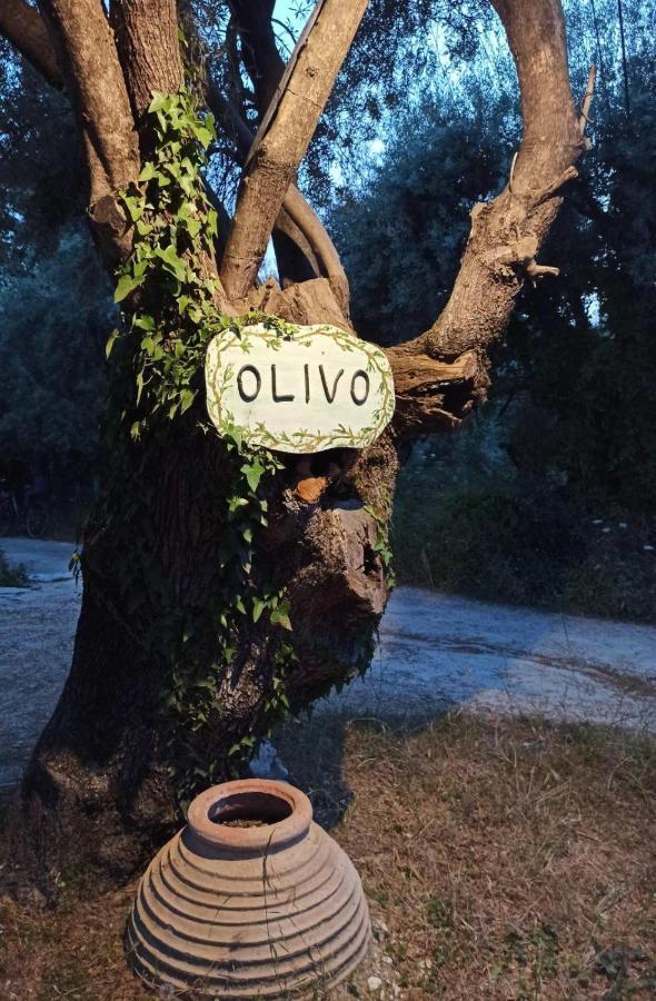 شقة Olivo Nydri المظهر الخارجي الصورة