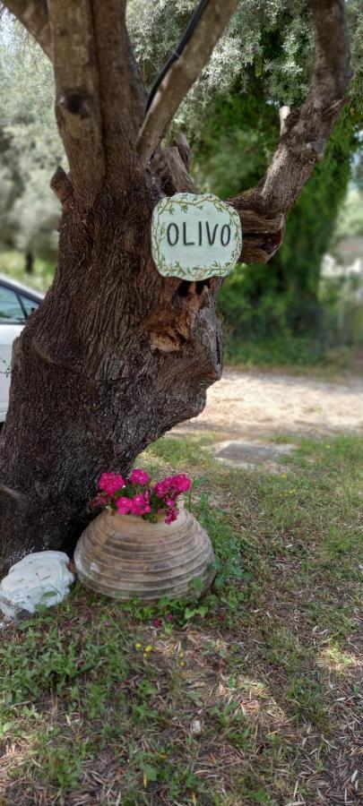 شقة Olivo Nydri المظهر الخارجي الصورة